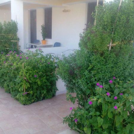 Villas Irene 5 Family Apartments Kokkini Hani Ngoại thất bức ảnh