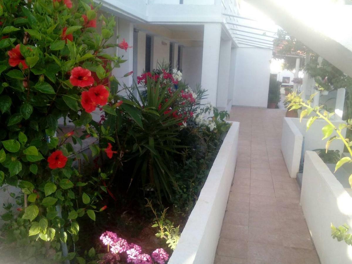 Villas Irene 5 Family Apartments Kokkini Hani Ngoại thất bức ảnh