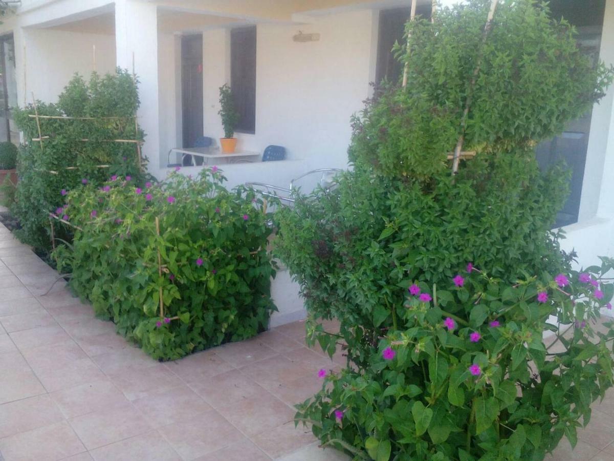 Villas Irene 5 Family Apartments Kokkini Hani Ngoại thất bức ảnh